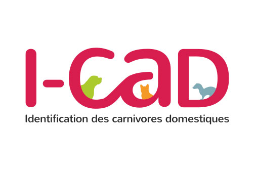 logo_icad